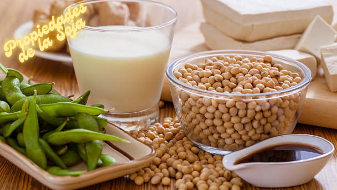 PROPIEDADES y TIPOS de SOJA / PROPERTIES and TYPES of SOY #soja #soy #soya #soyabean #glycinemax