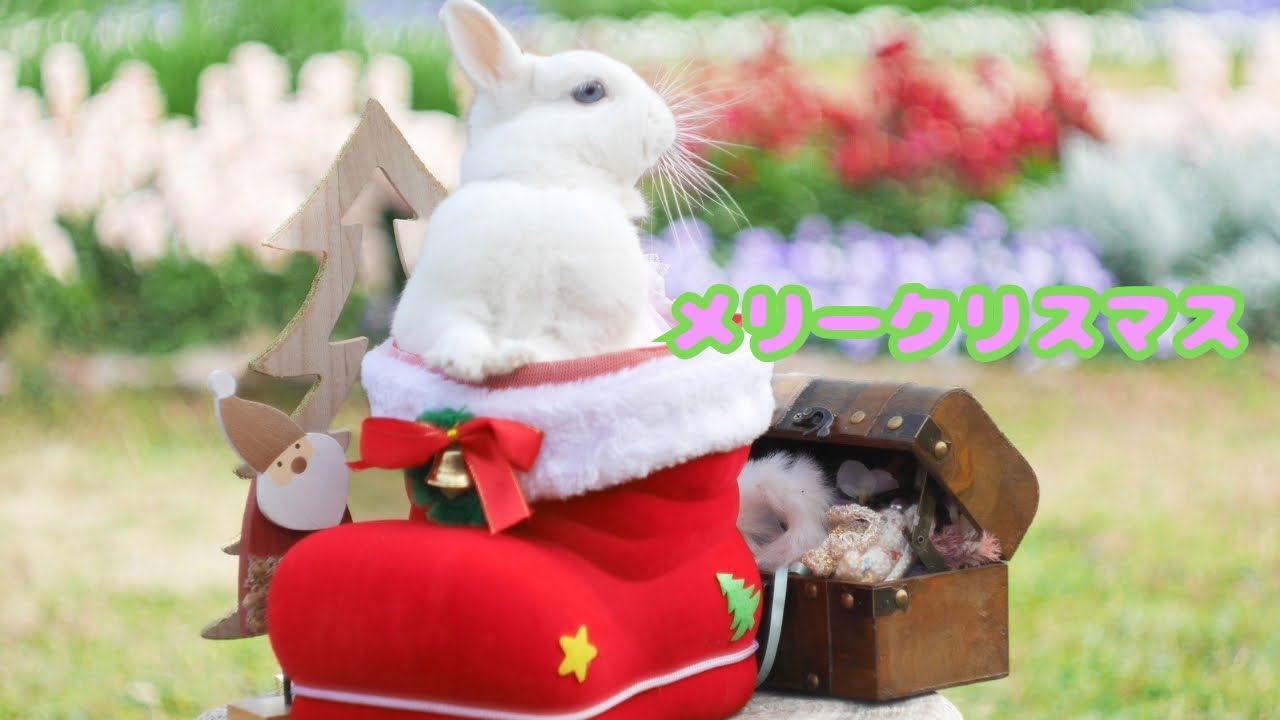可愛いクリスマス🎄【過去編】