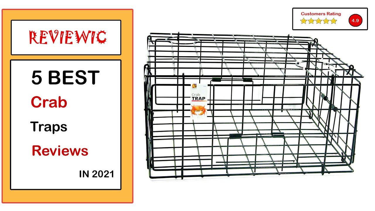 ✅ Best Crab Traps Amazon in 2023 ✨ Top 5 Tested & Buying Guide