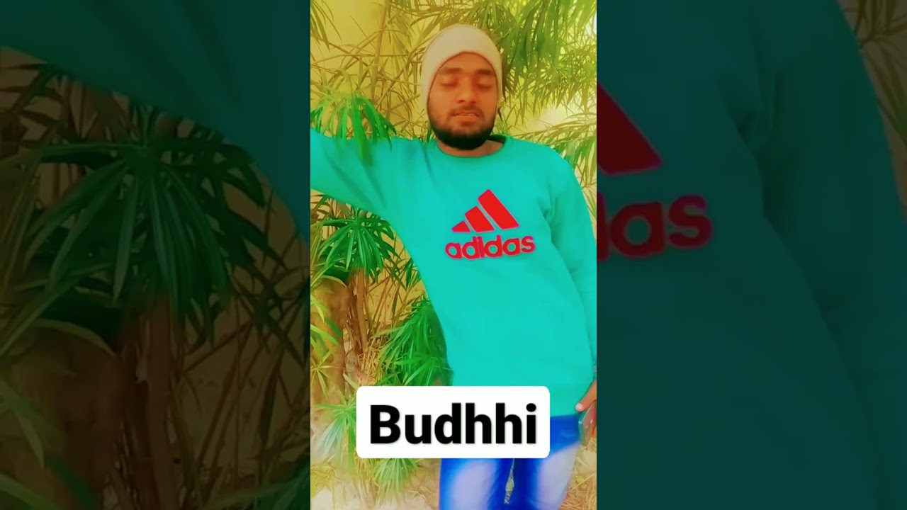 budhdhi