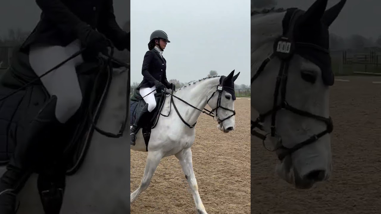 Polly Plum and Tabitha doing their thing 🥰@evoequine @covaliero