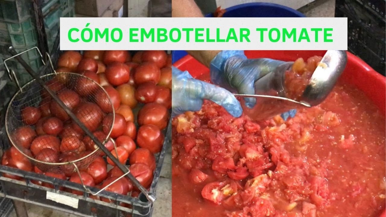 El Huerto del Abuelo - Cap&iacute;tulo 39: C&oacute;mo embotellar tomates