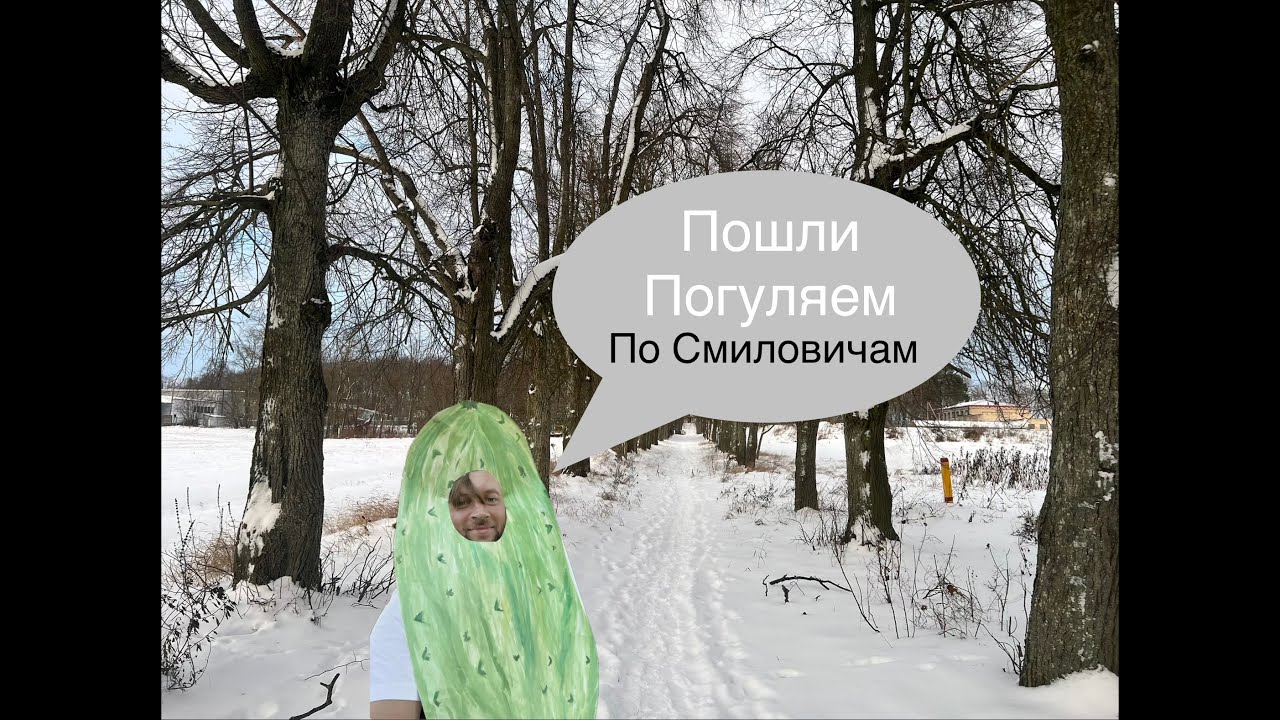 Пошли погуляем по Смиловичам, история поселка, Панский дом