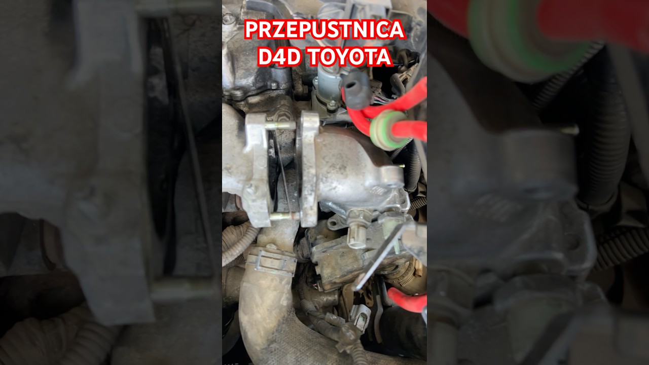 PRZEPUSTNICA D4D TOYOTA T25.