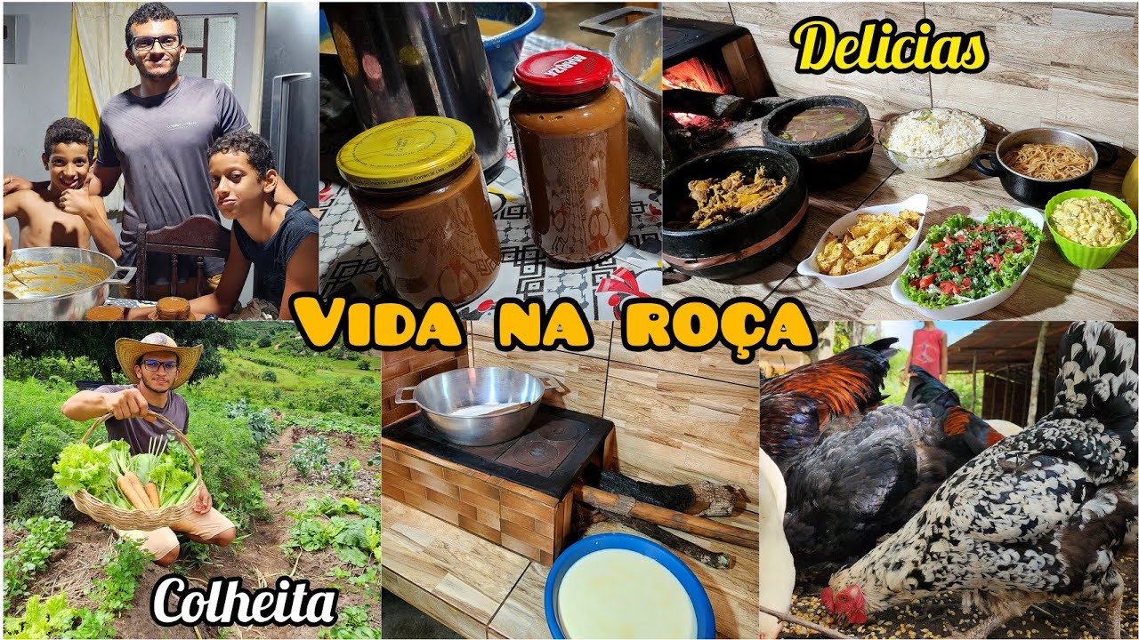 DELÍCIAS DA ROÇA//almoço no FOGÃO A LENHA,COLHEITA e doce de leite caseiro