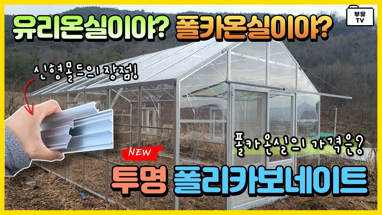 유리온실이야? 폴카온실이야? 투명 폴리카보네이트 | 부유코리아