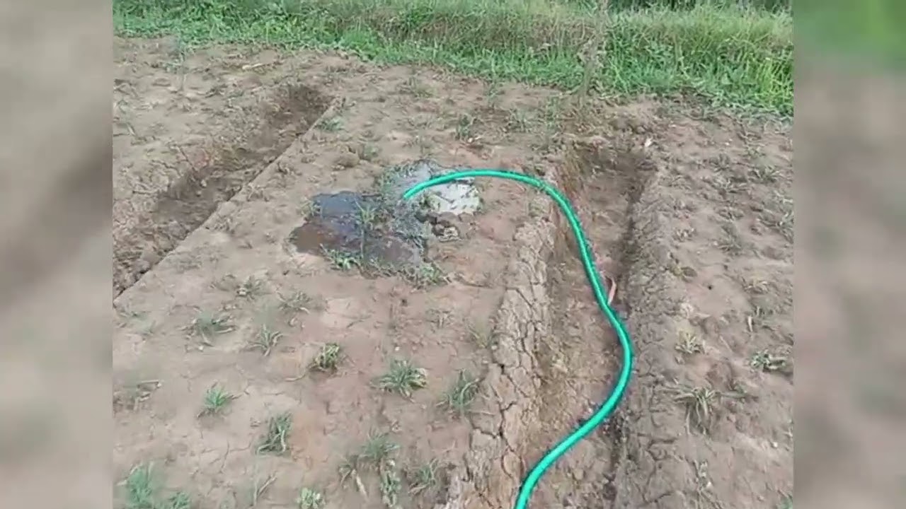 Tes menyiram tanaman pakai Pompa Bilge pump 1100gph 12v dengan selang 21meter