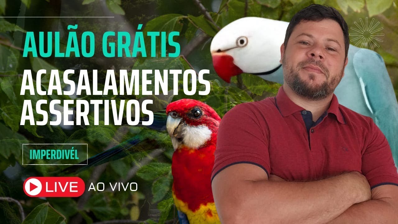 AULÃO GRATUITO