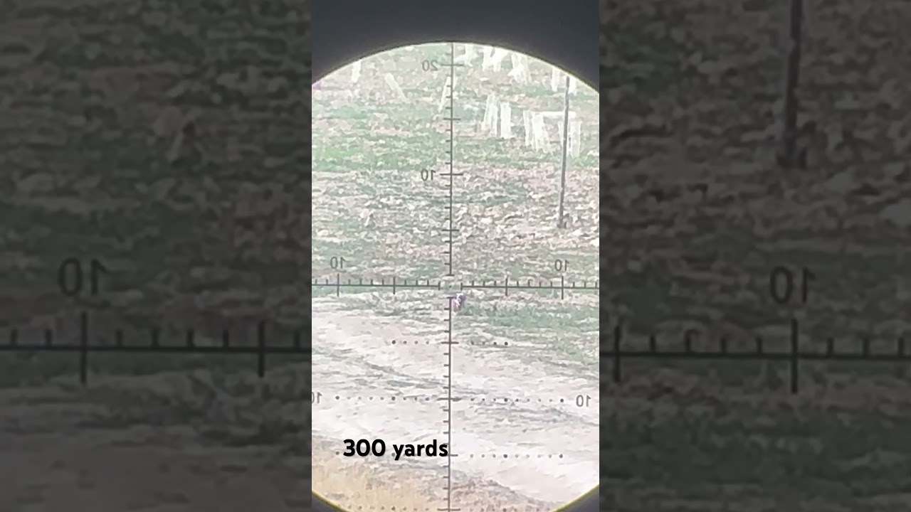 300 Yards | New Air Marksman Precision Slugs | 33g  | FX Impact M4