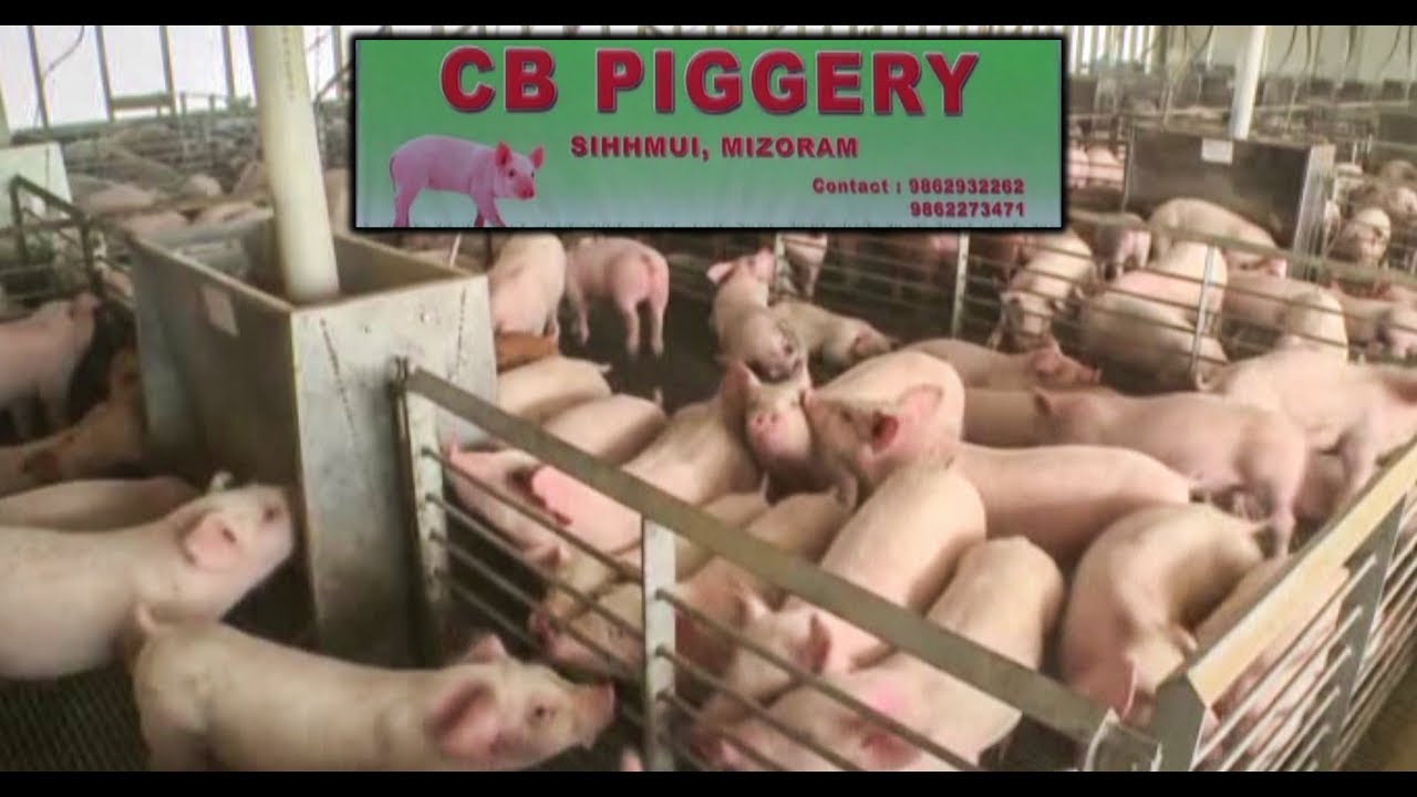 (LPS Kut Hnathawk Huang) - CB Pigerry, Sihhmui