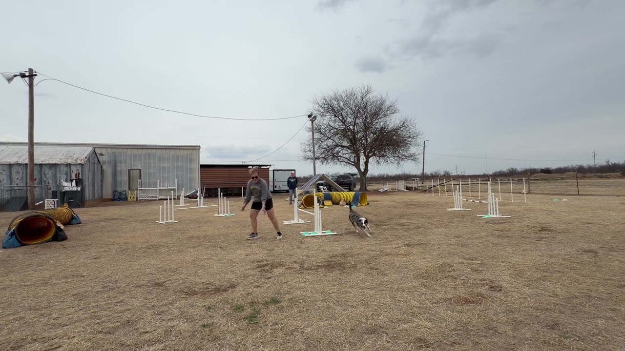Bonnie-LMW2603(13) 0:51.76s 0 fault