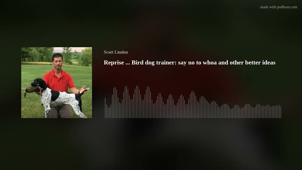 Reprise ... Bird dog trainer: say no to whoa and other better ideas
