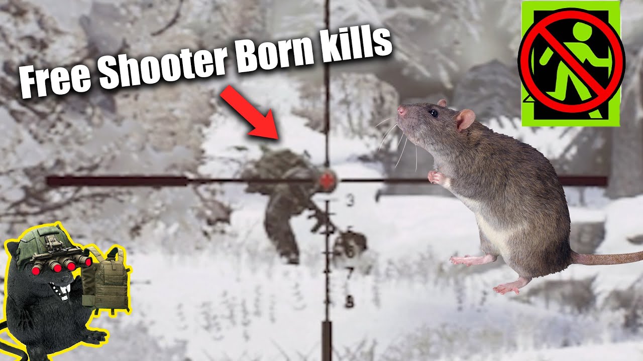 Самый простой способ закончить игру Shooter Born на INTERCHANGE 🤯