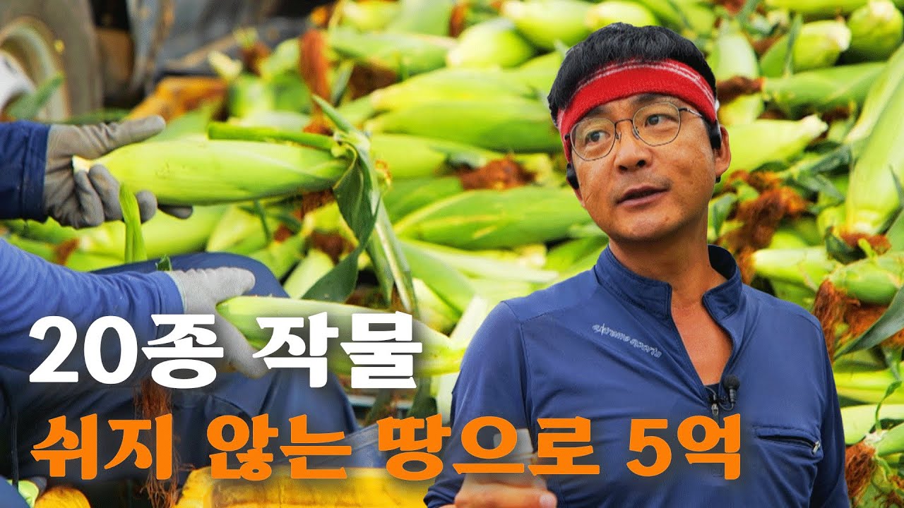 [역전의부자농부 365회] 끊이지 않는 매출 전표! 20종 작물 수확의 비결