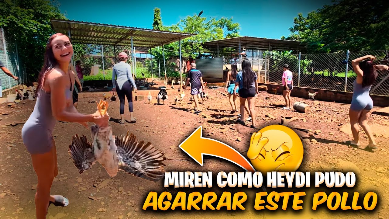 Podrán las Bichas agarrar algún pollo? Heydi anda ganosa de agarrar uno pero no puede