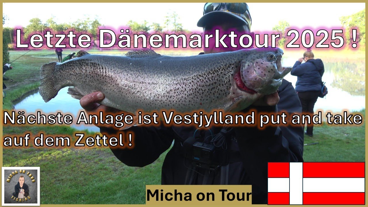 Forellenangeln in Dänemark bei Vestjyllands put and take !  Aktiv zum Fangerfolg ! #fishing #angeln