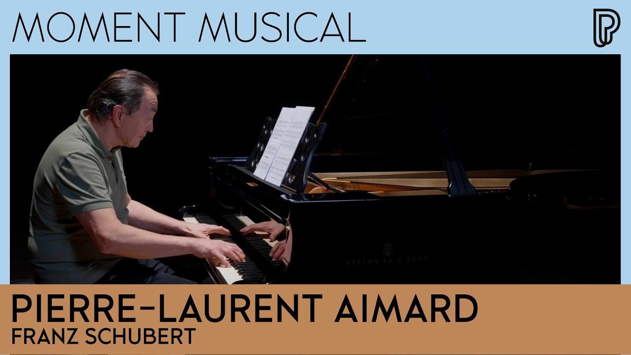 Pierre-Laurent Aimard - Valses de Franz Schubert | Moment musical