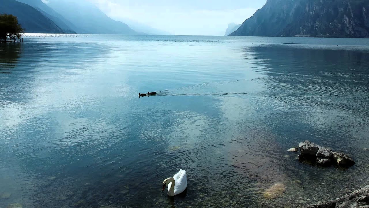 Handel - I know that my redeemer liveth - Air by Miriam Allan - Oratorio Messiah