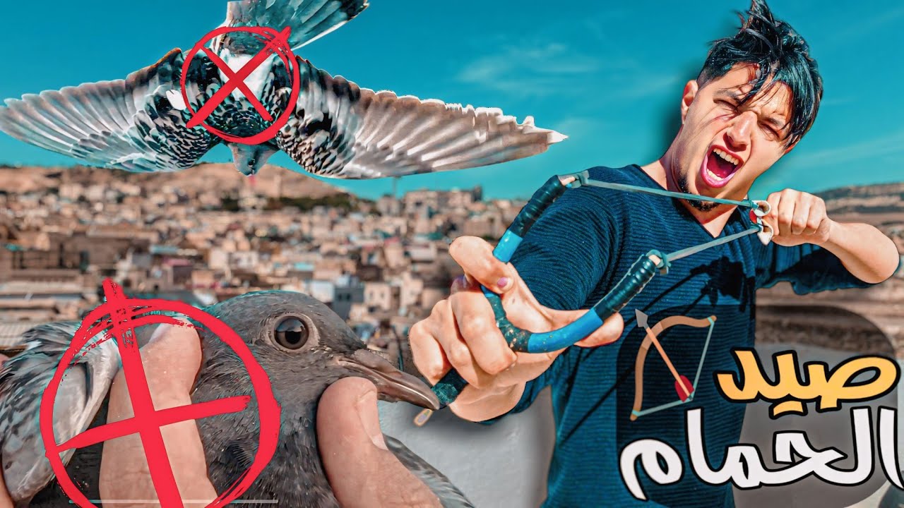 صيد الحمام 🏹 شديت حمامة جديدة على سطح المنزل 🤣
