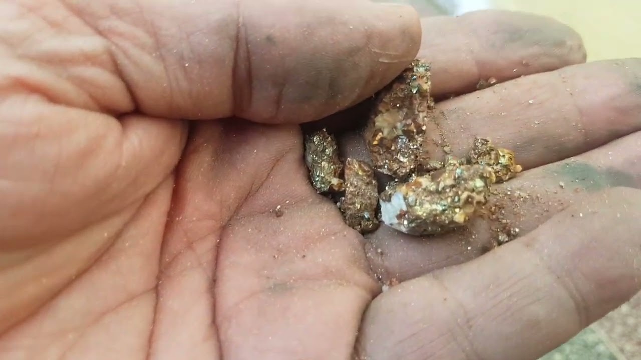 لحبيب يبحث في الحجر الذهبي