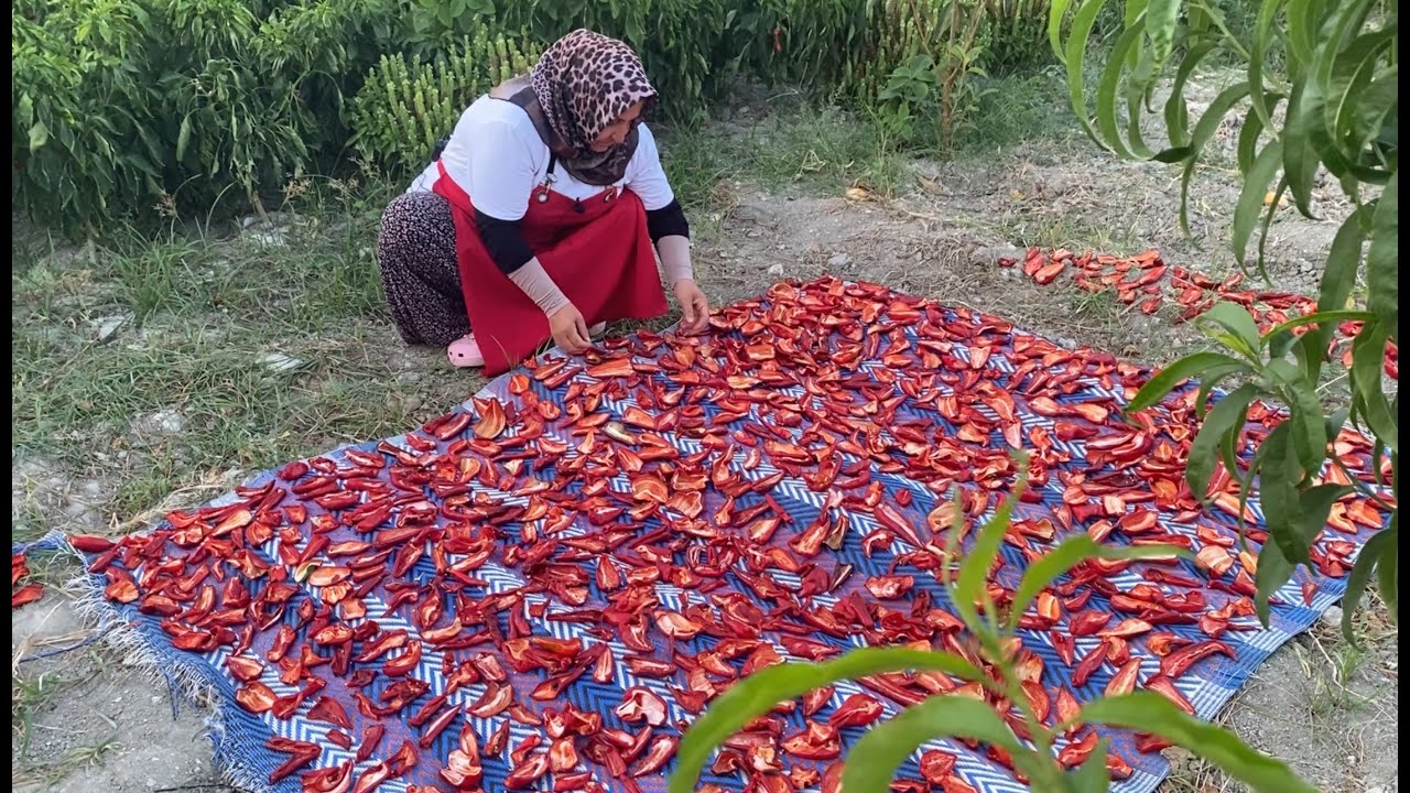 Pul Biber Yapımına Başladık〰Sabah Kahvaltısı Hazırlığı