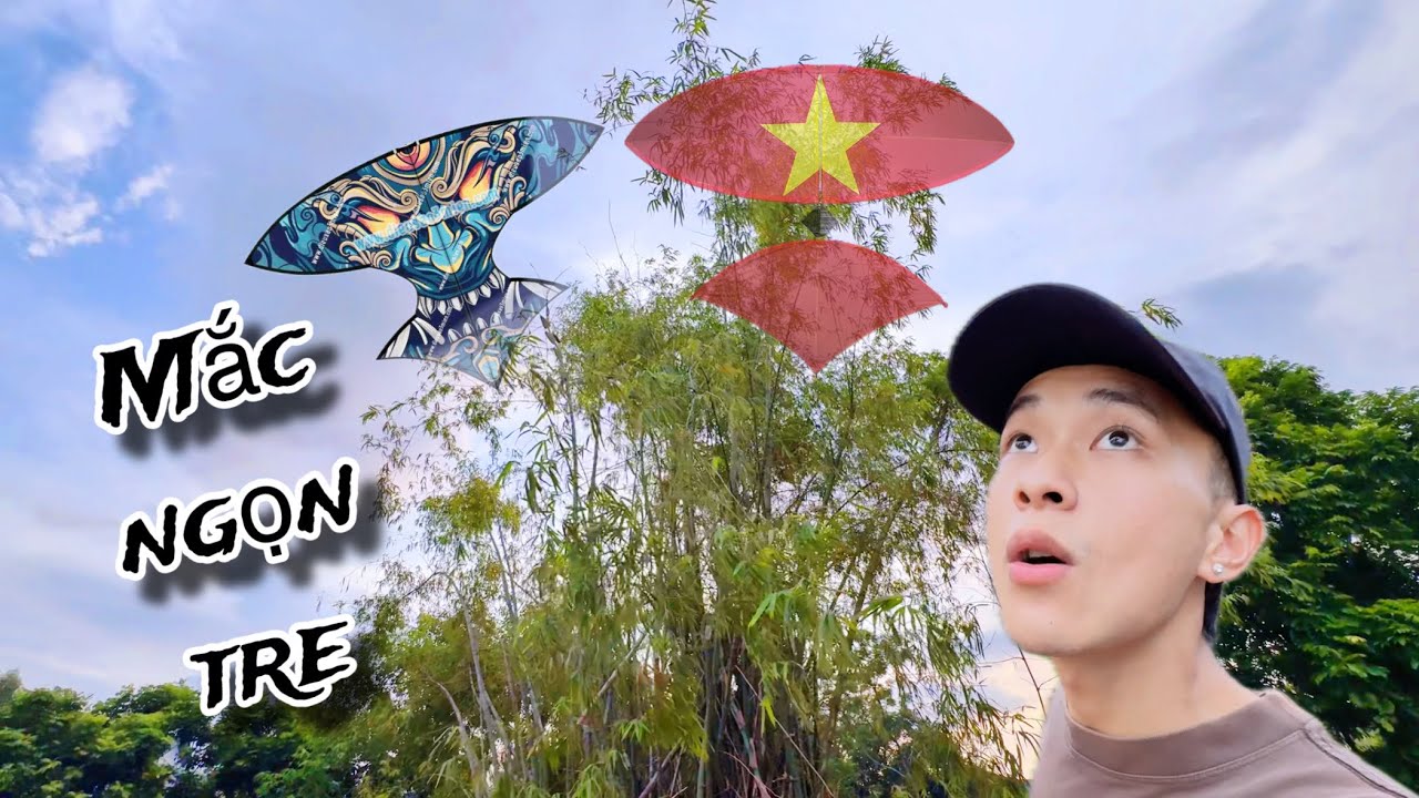 Gió Bão Diều Khung Lắp Ghép Carbon 8M Còn Đứt Mắc Ngọn Tre