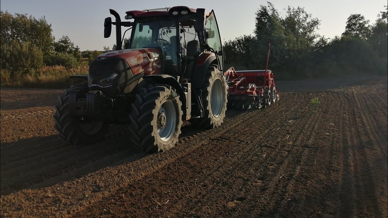 🔥Siew Rzepaku 2021🔥 Case Maxxum 125 w akcji🔥
