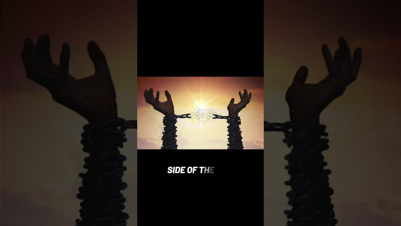 HIMLEGACY- You‘re Not Alone