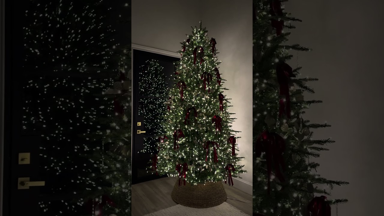 4 sizes & yes it has multicolor lights too! Prettiest #Christmas tree ever ✨🎄Link in bio #christmas