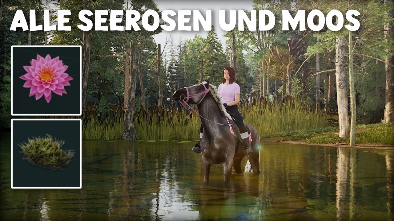 ALLE SEEROSEN UND MOOS! 🌸🍃 - Equinox Homecoming
