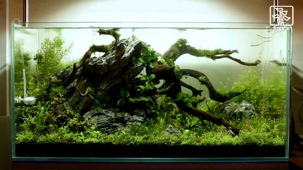 Layout 86 (182 L) by Stuart Worrall