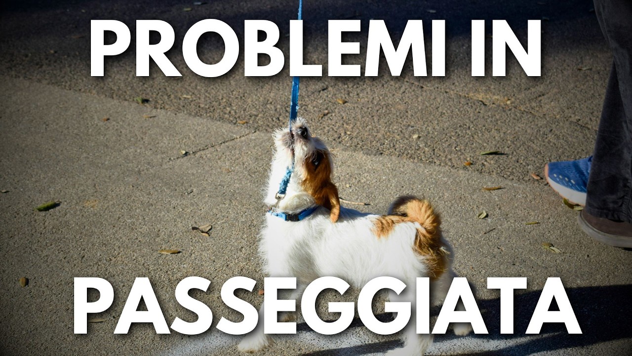 Perché il tuo cane ha problemi in passeggiata (tira, si blocca, abbaia, ecc.)