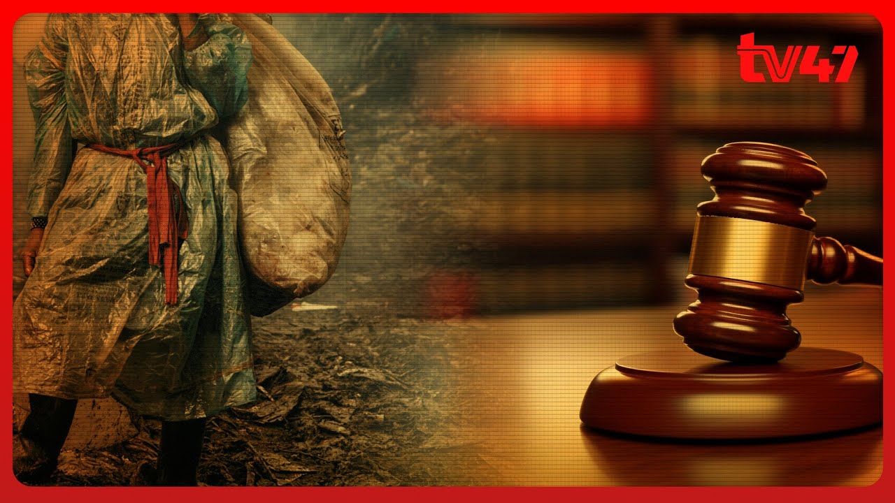 Mahakama ya Mazingira yaamuru wakusanyaji taka dandora kulipwa fidia ya shilingi milioni 20
