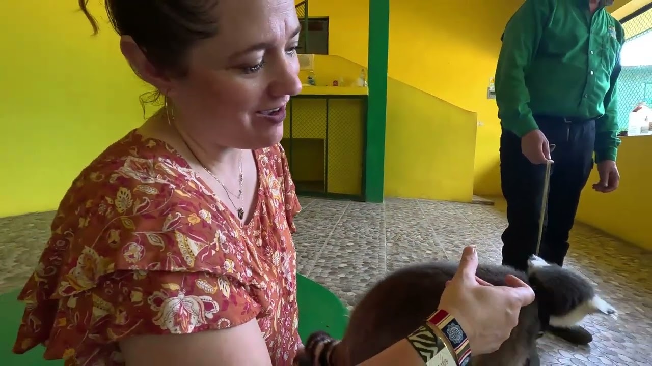 Puerto Vallarta Unedited GoPro Footage