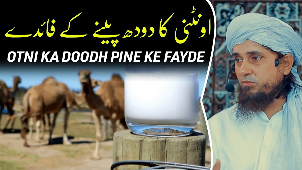 The Benefits of camel milk | Mufti Tariq Masood | @IslamicYouTube2