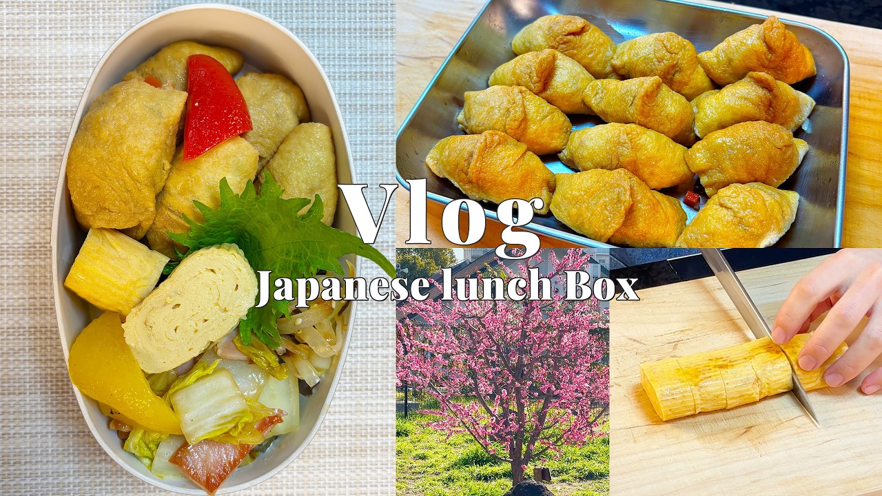 Bento Vlog | Traditional Inari Sushi | Early Spring in Osaka & Solo Cooking Life