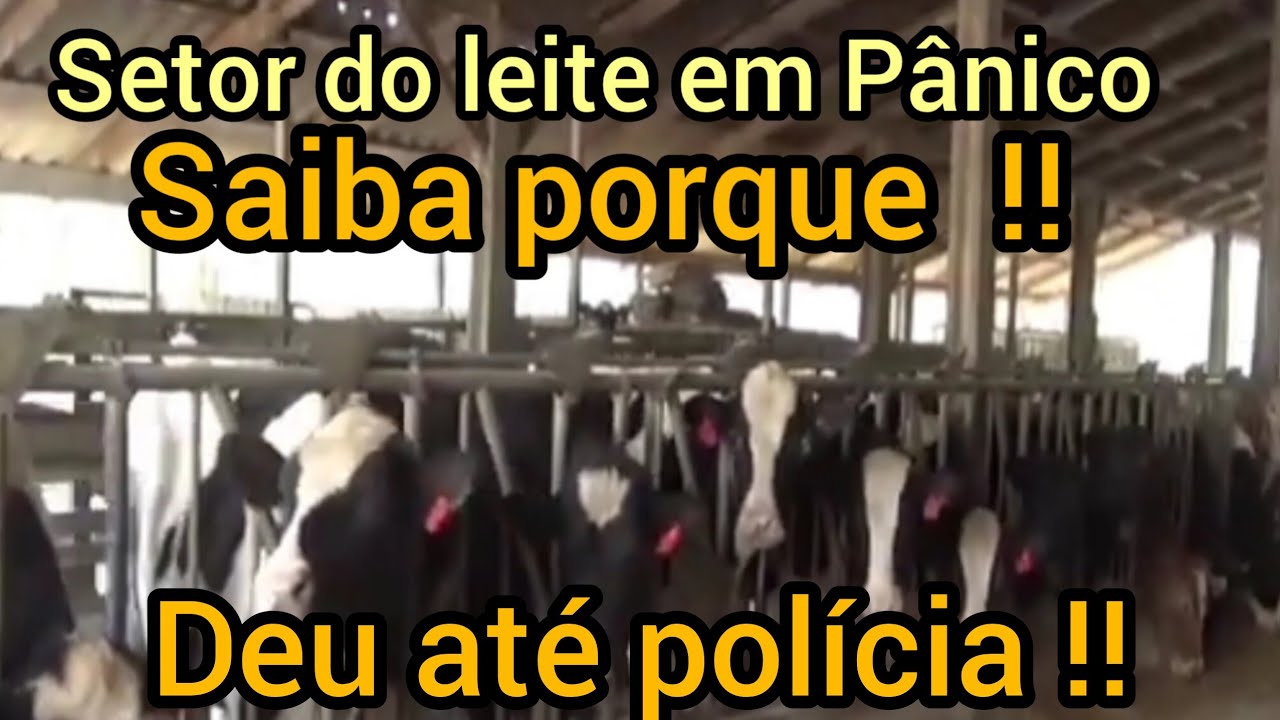 PREÇO  D0 LEITE FAS  AGRICULTORES ABONDONAR 0 CAMPO  !!