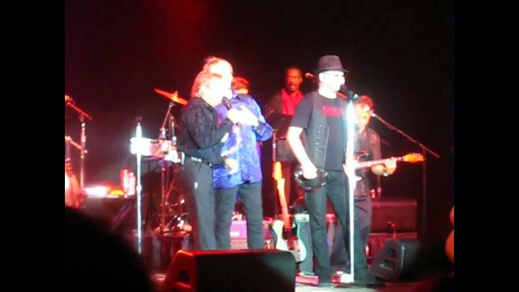 The Monkees 
