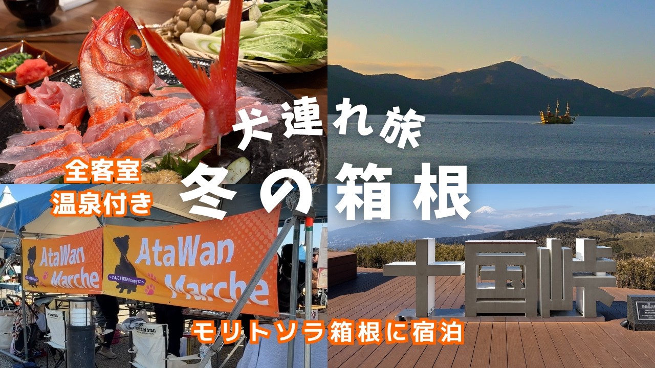 🐾【愛犬と楽しむ箱根旅】Ata Wanマルシェ in 熱海｜景色が最高 十国峠｜意外に面白い箱根関所｜全客室プライベート温泉付き モリトソラ箱根に宿泊