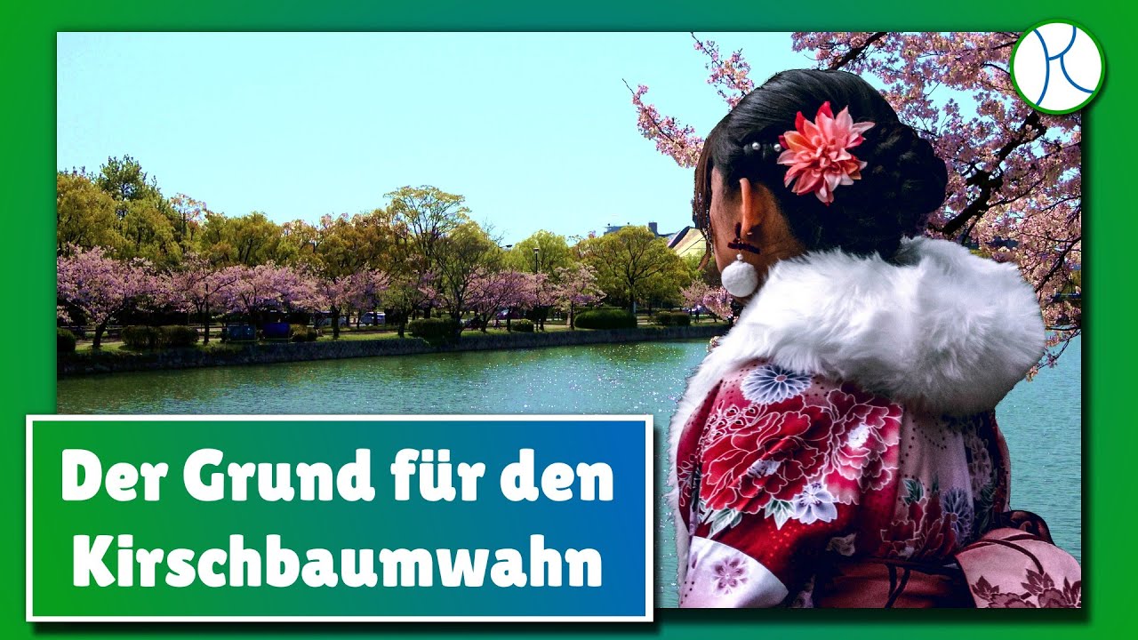 Die UNGLAUBLICHEN Anf&auml;nge des KIRSCHBL&Uuml;TEN-FESTS!