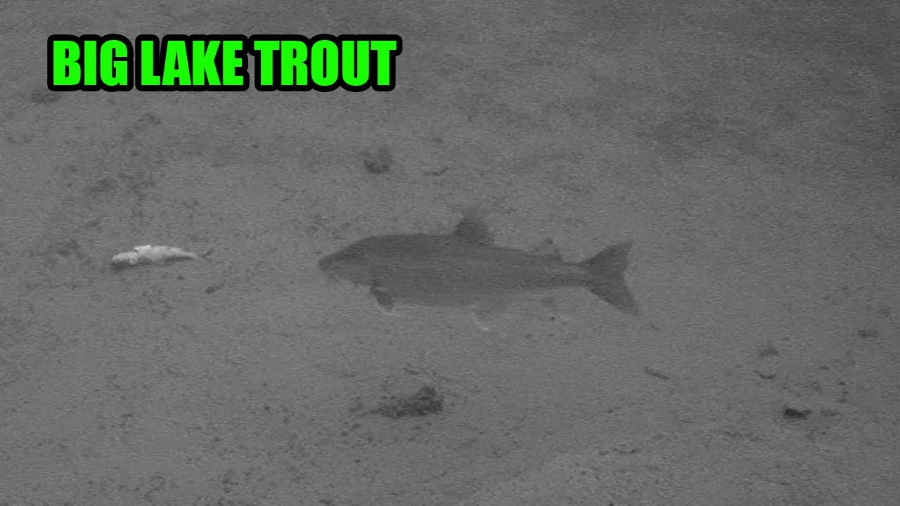Ice Fishing for Big Lake Trout in Northern Manitoba | Clearwater Lake!