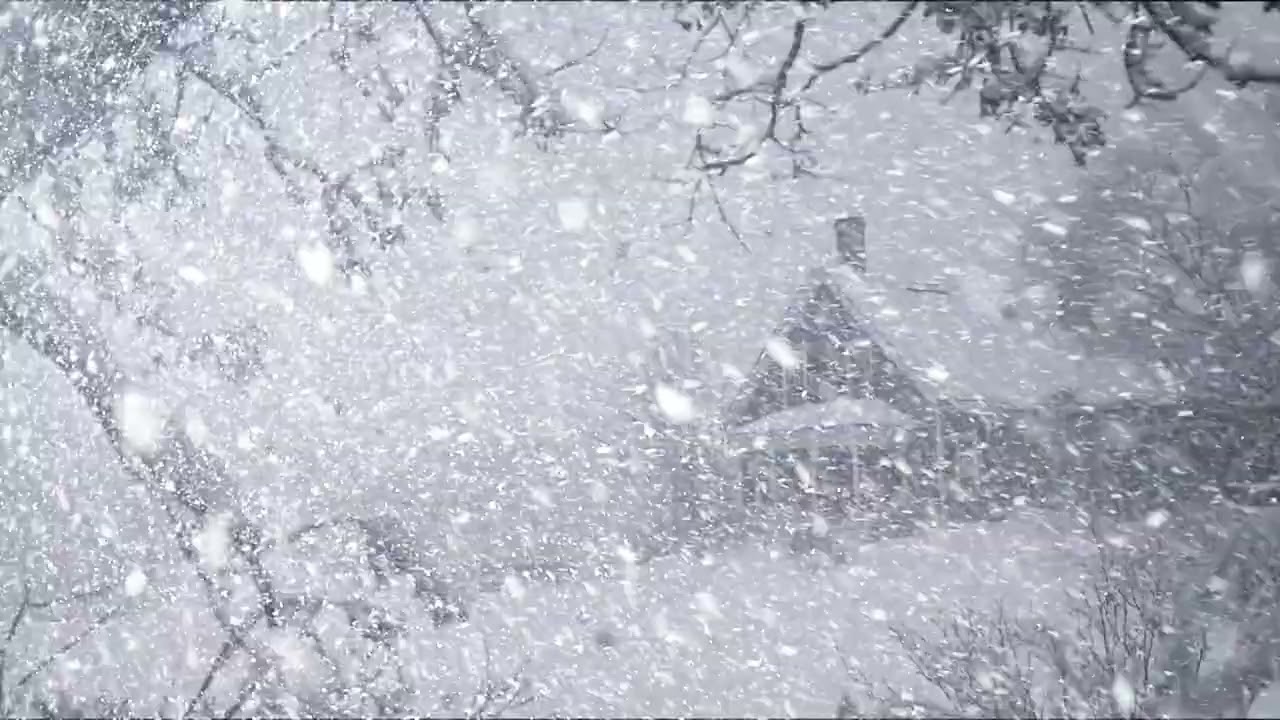 Fierce Howling Wind Sounds for Concentration & Study | Winter Blizzard Relaxation