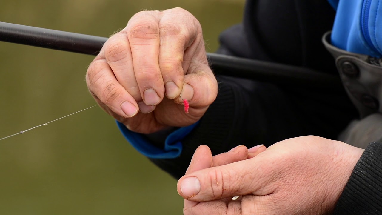 How To Correctly Hook A Maggot - Andy May