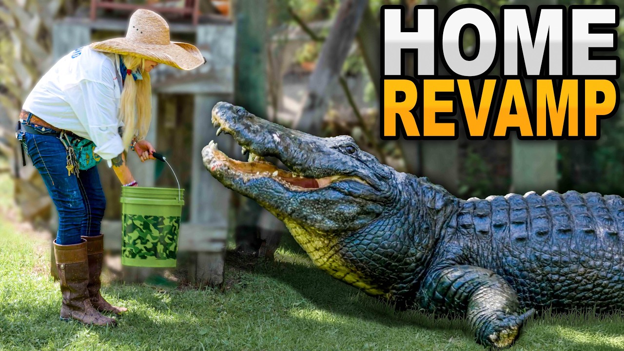 Giant Gator Gets A Home Makeover! (JAWS)