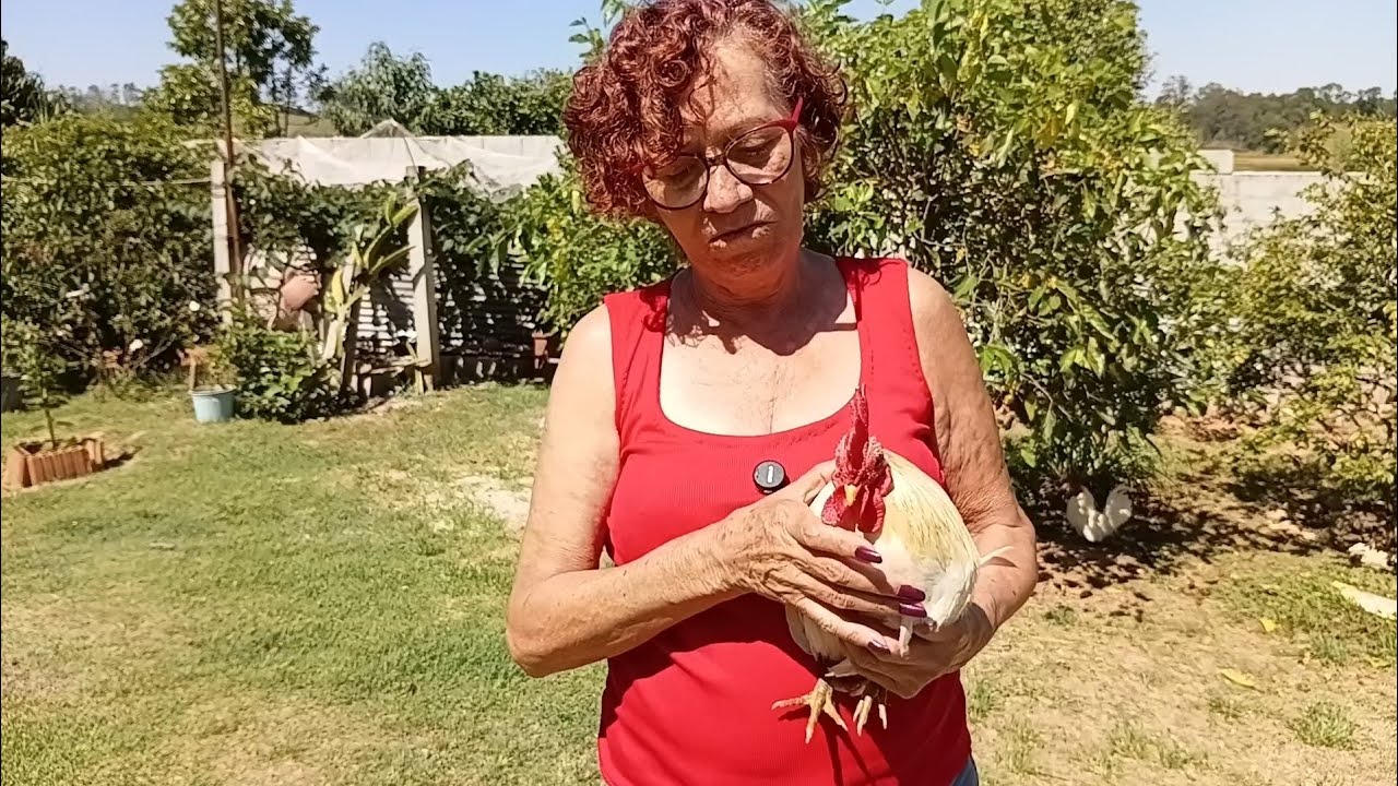 Um dia no sítio 😀