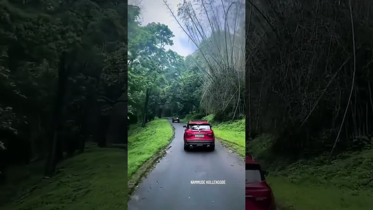 Parambikulam Kollengode Palakkad Kerala 