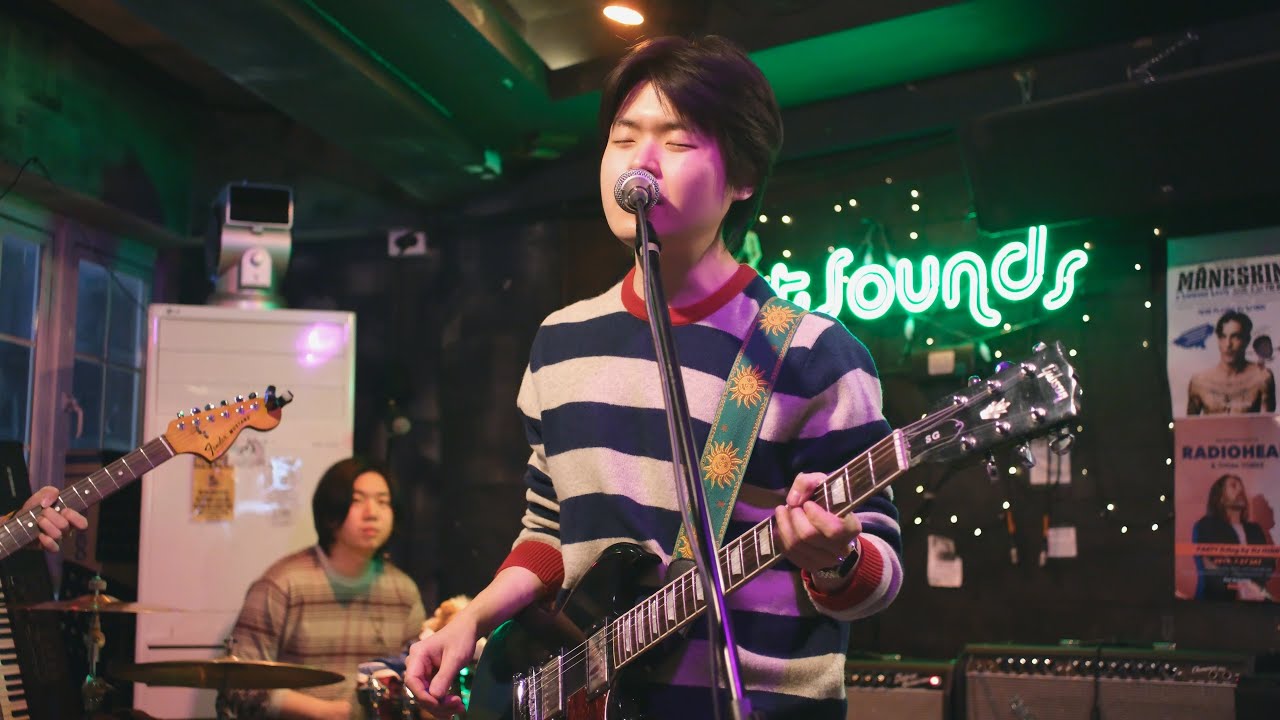 급한노새 - Blue Stripes | 260110 펫사운즈 인디 라이브 @펫사운즈
