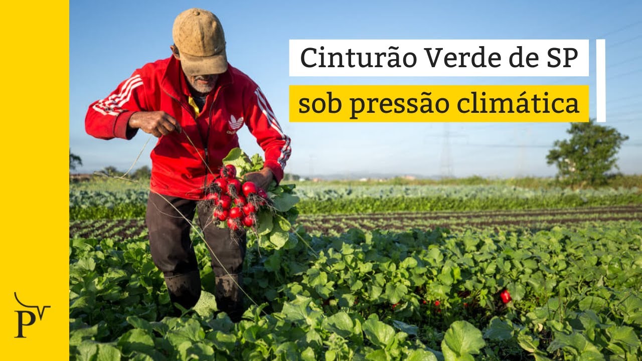 Cinturão Verde de São Paulo sob pressão climática