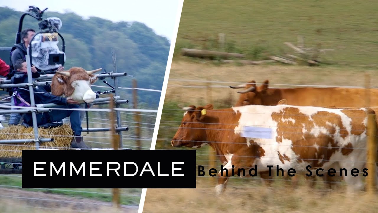 Emmerdale - Emmerdale's 50th: Behind The Scenes of the Cow Stampede