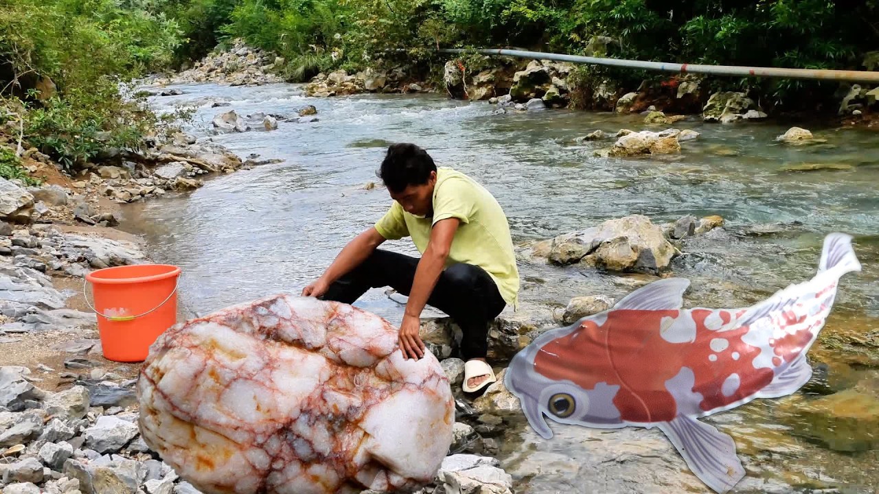 The beauty was surprised to find pearls. Shells hide pearls and eggs, earning a lot of money